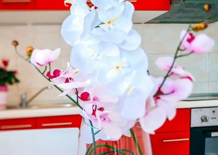 Ljubo Врси